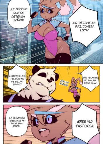 Go Lopunny Go! [Rook Kawa]