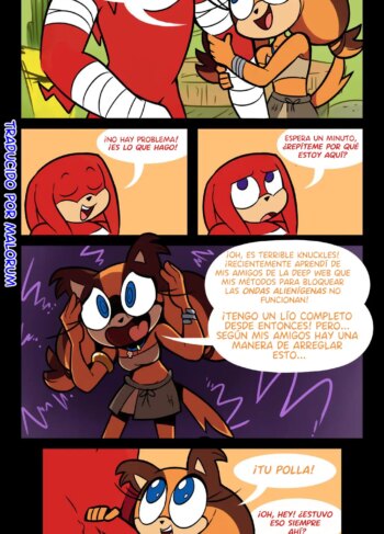 Sticks & Knuckles [Misconamour]