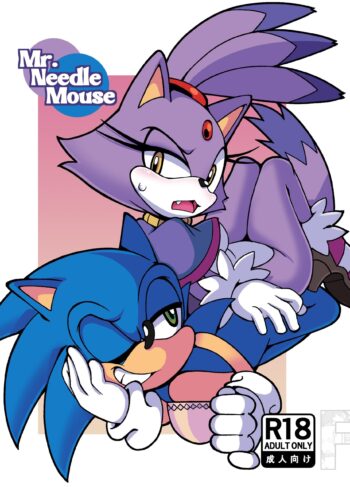 Mr. Needlemouse [Senshion]